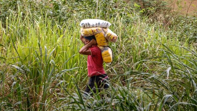 La W conoció en primicia que el Ministerio Público solicitó frenar los pagos de dichos contratos tras encontrar escandalosas irregularidades en los mismos. Foto: Getty Images