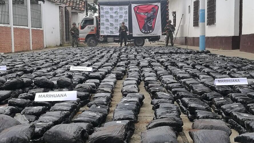 Incautan dos toneladas y media de marihuana en Cauca. Foto: Policía