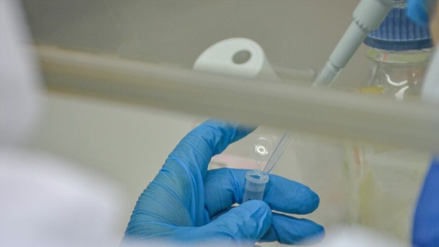 En cinco municipios de Córdoba no se habrían realizado pruebas COVID desde enero de 2021. Foto: Unicor (referencia).