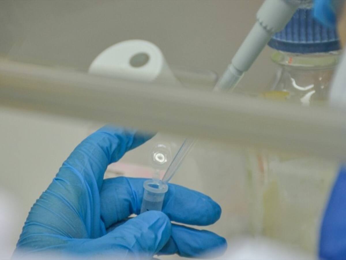 Cinco municipios de Córdoba no habrían realizado pruebas COVID desde enero de 2021