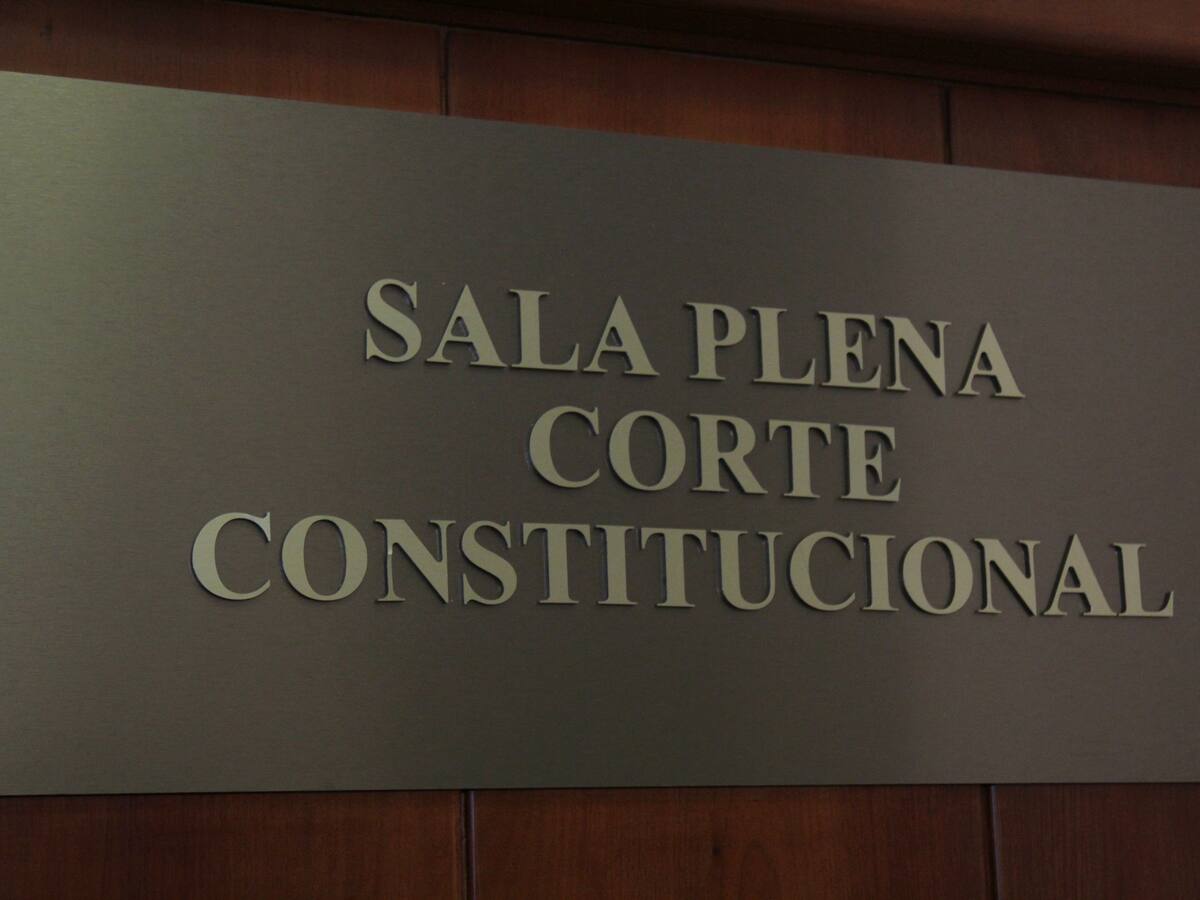 “Hay una mala interpretación de la sentencia de la Corte”: director del Nuevo Liberalismo