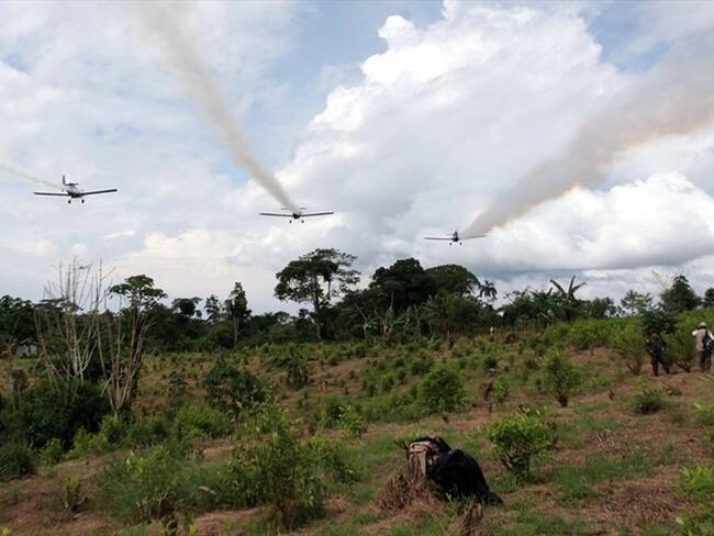 Kevin Whitaker aseguró que el glifosato es una sustancia segura y eficaz que debería reincorporarse en la erradicación de cultivos de coca. Foto: Colprensa