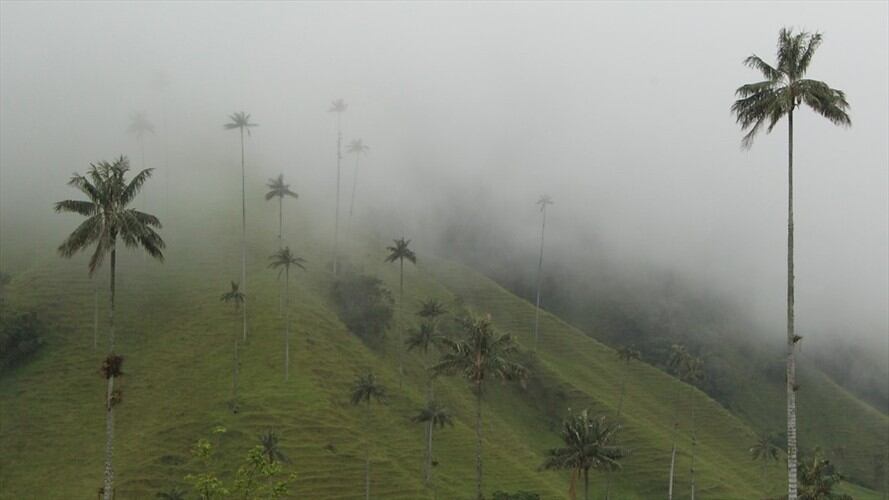 Sentencia de Tribunal abriría puertas a megaminería en Salento, Quindío. Foto: Colprensa