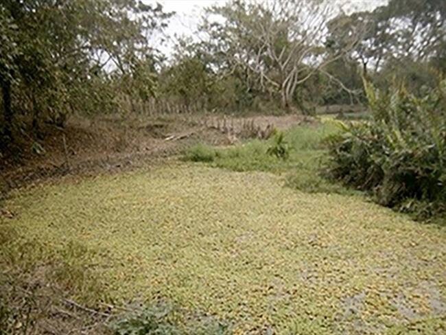 Imagen de referencia. Foto: Cisa