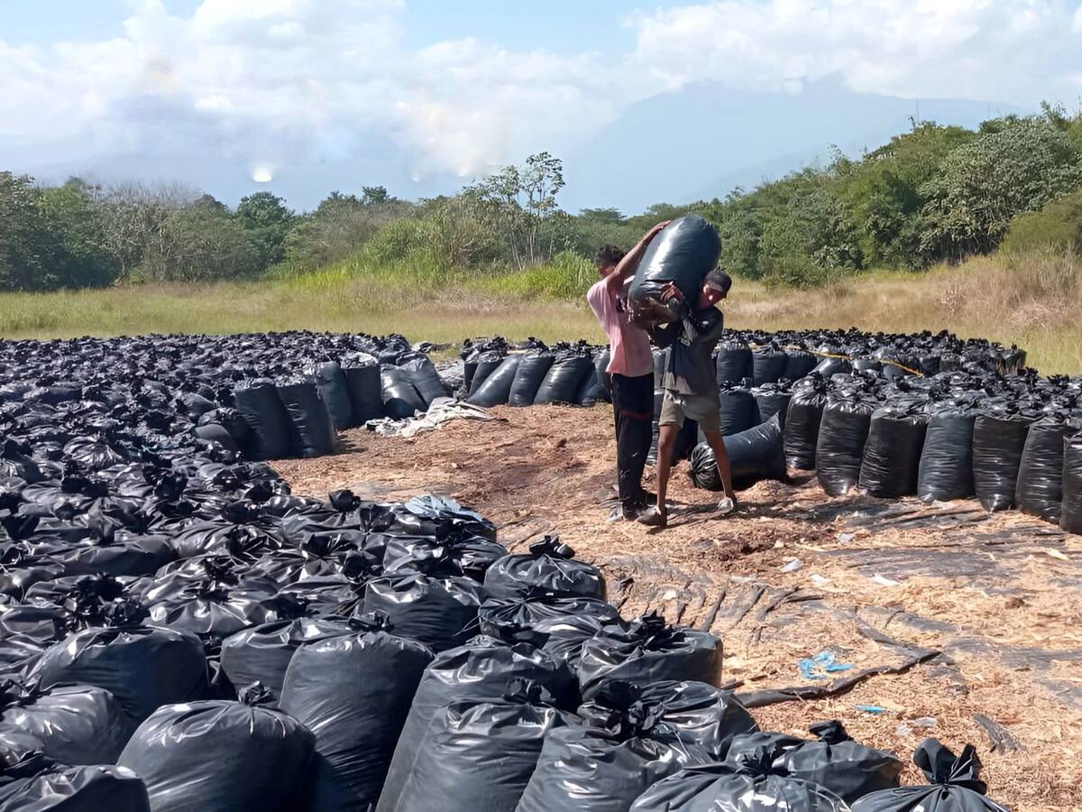 Entregadas 50 toneladas de sorgo y maíz a productores de Sabanas de San Ángel