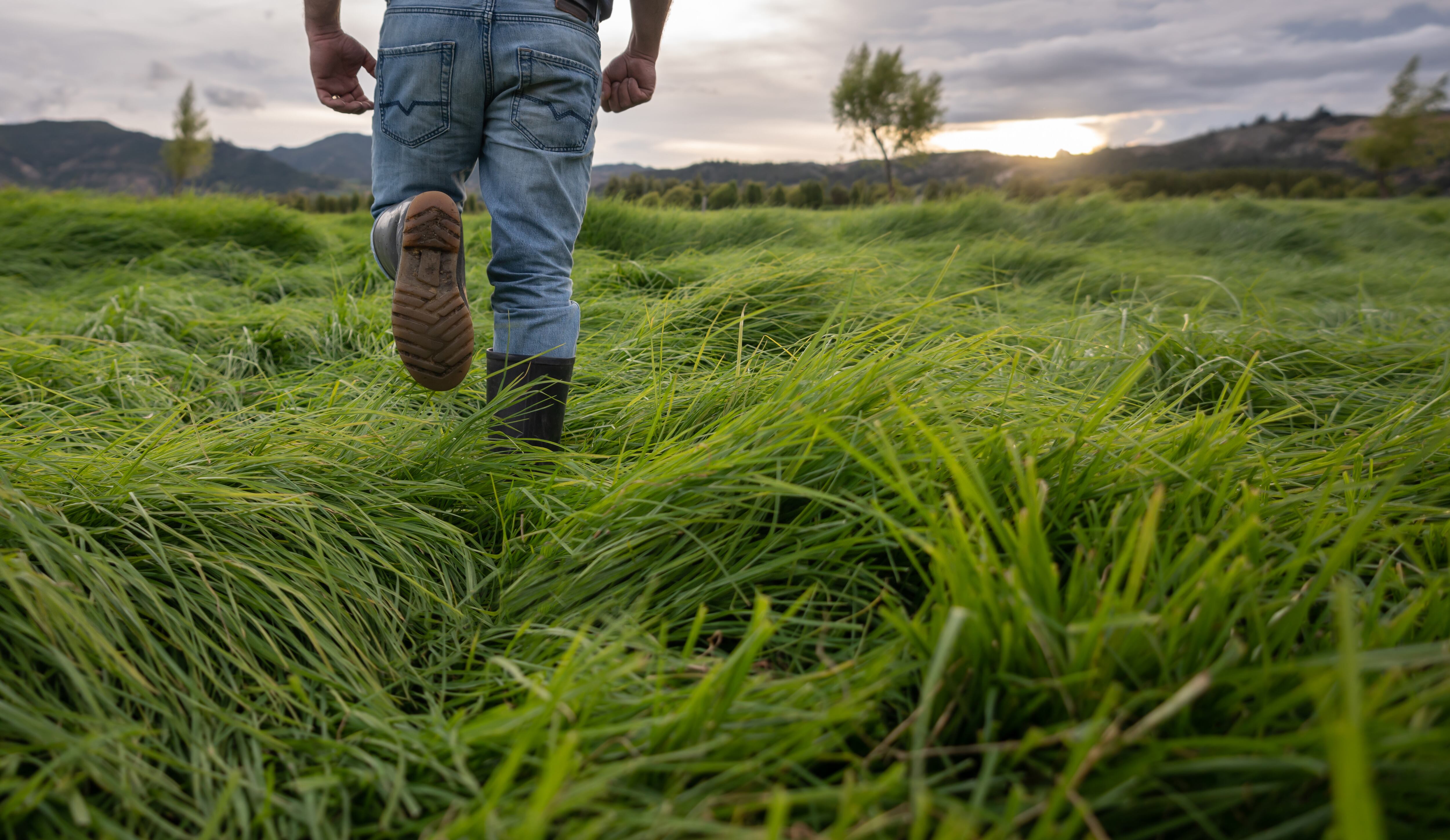 Primer plano de un campesino colombiano. Foto: Getty Images.