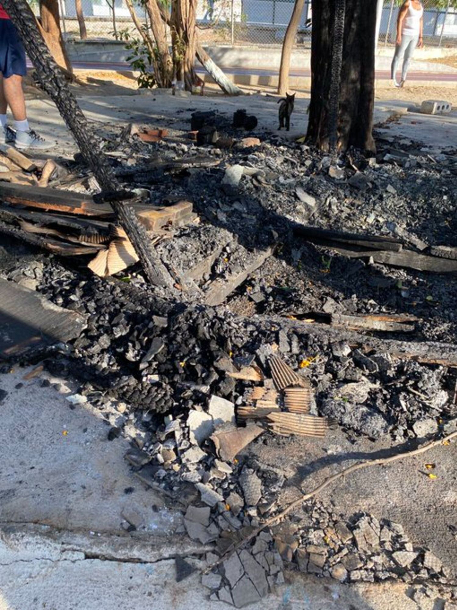Así quedó el refugio de los gatos en Santa Marta/ Lorenzo Bonilla  