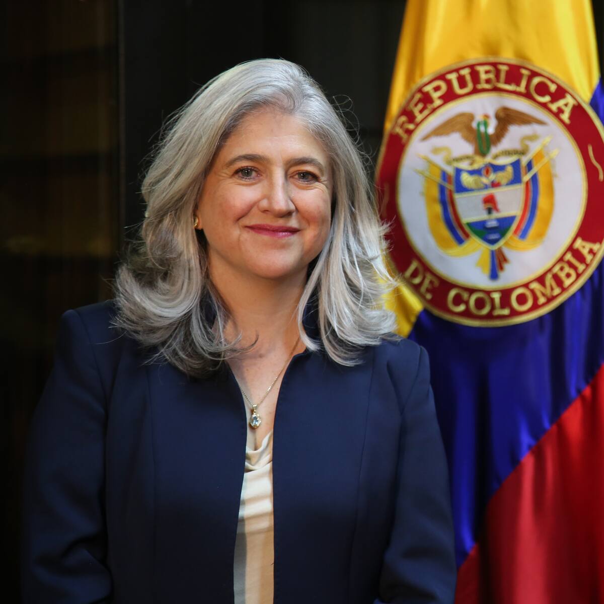 Subsidios para vivienda VIS paralizados: ¿Qué hará la ministra de Vivienda?