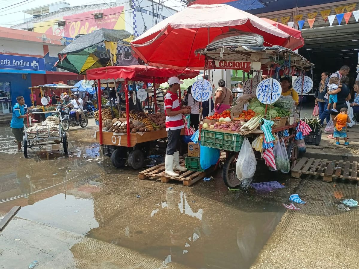 Comerciantes del mercado público de Santa Marta denuncian rebosamiento de aguas residuales