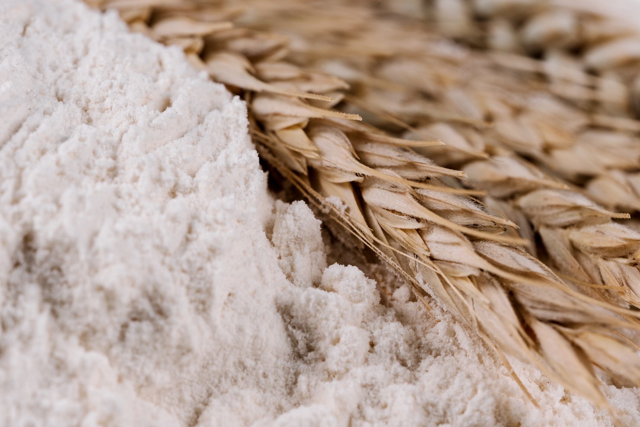 Gluten free, imagen de referencia. Foto: Getty Images