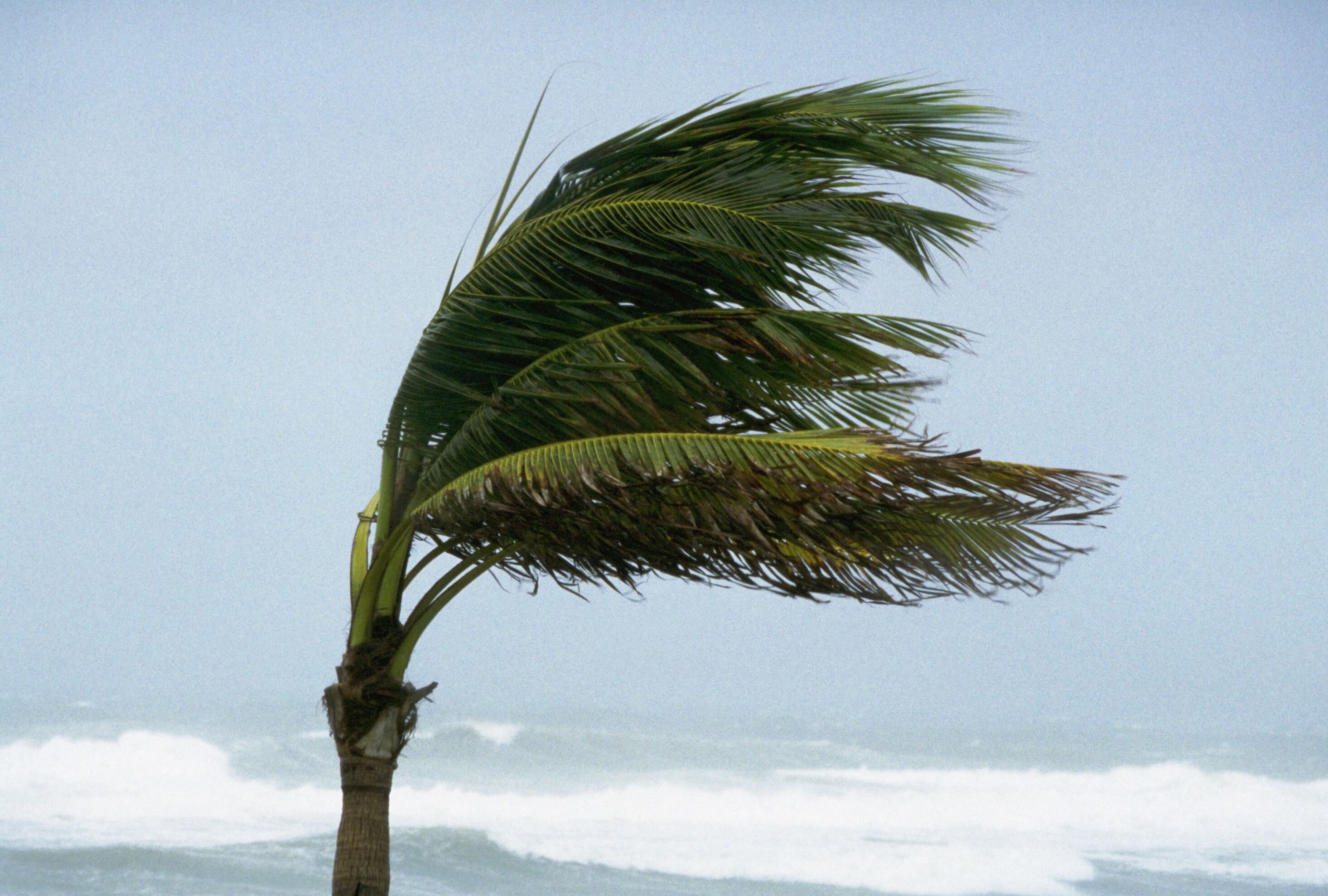 Huracán, imagen de referencia. Foto: Getty Images.