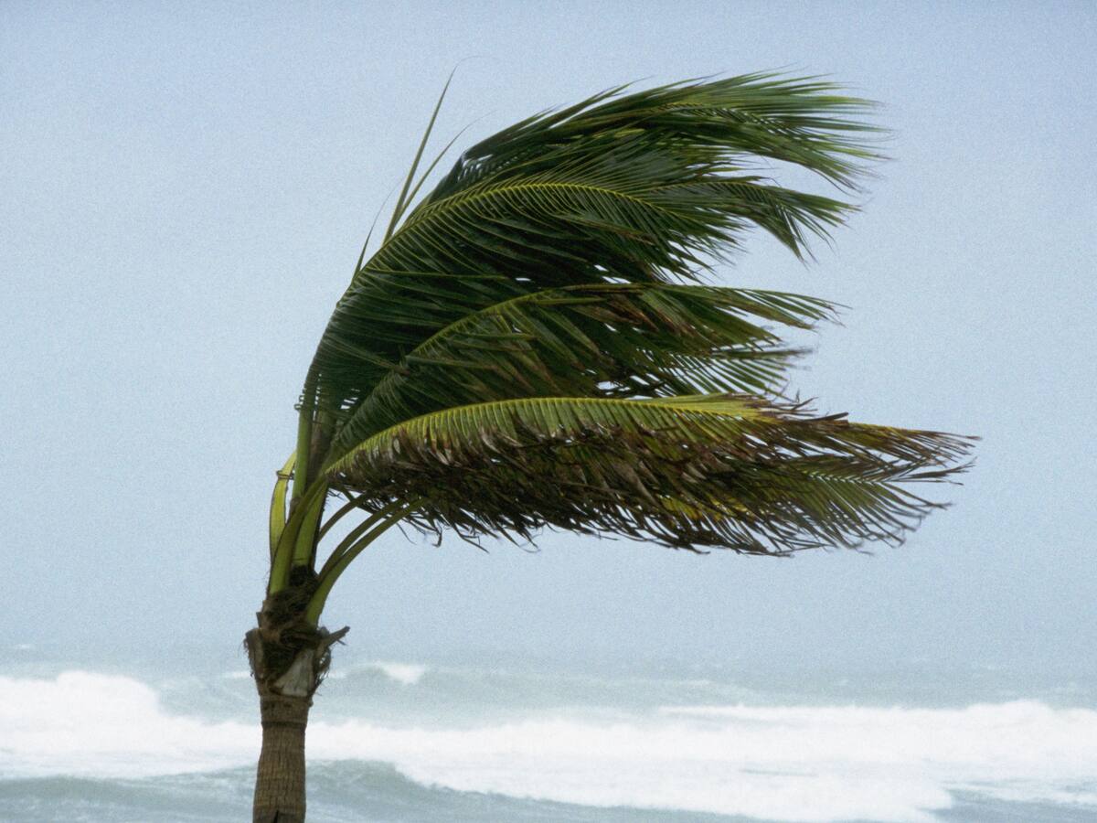 “No tenemos desastres en infraestructuras”: capitán de Puerto de Providencia