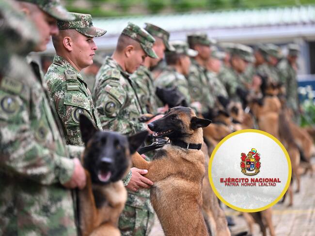 Soldados del Ejército antes de un entrenamiento de rastreo con caninos. En el círculo, el logo del Ejército Nacional (Fotos vía GettyImages y redes sociales)