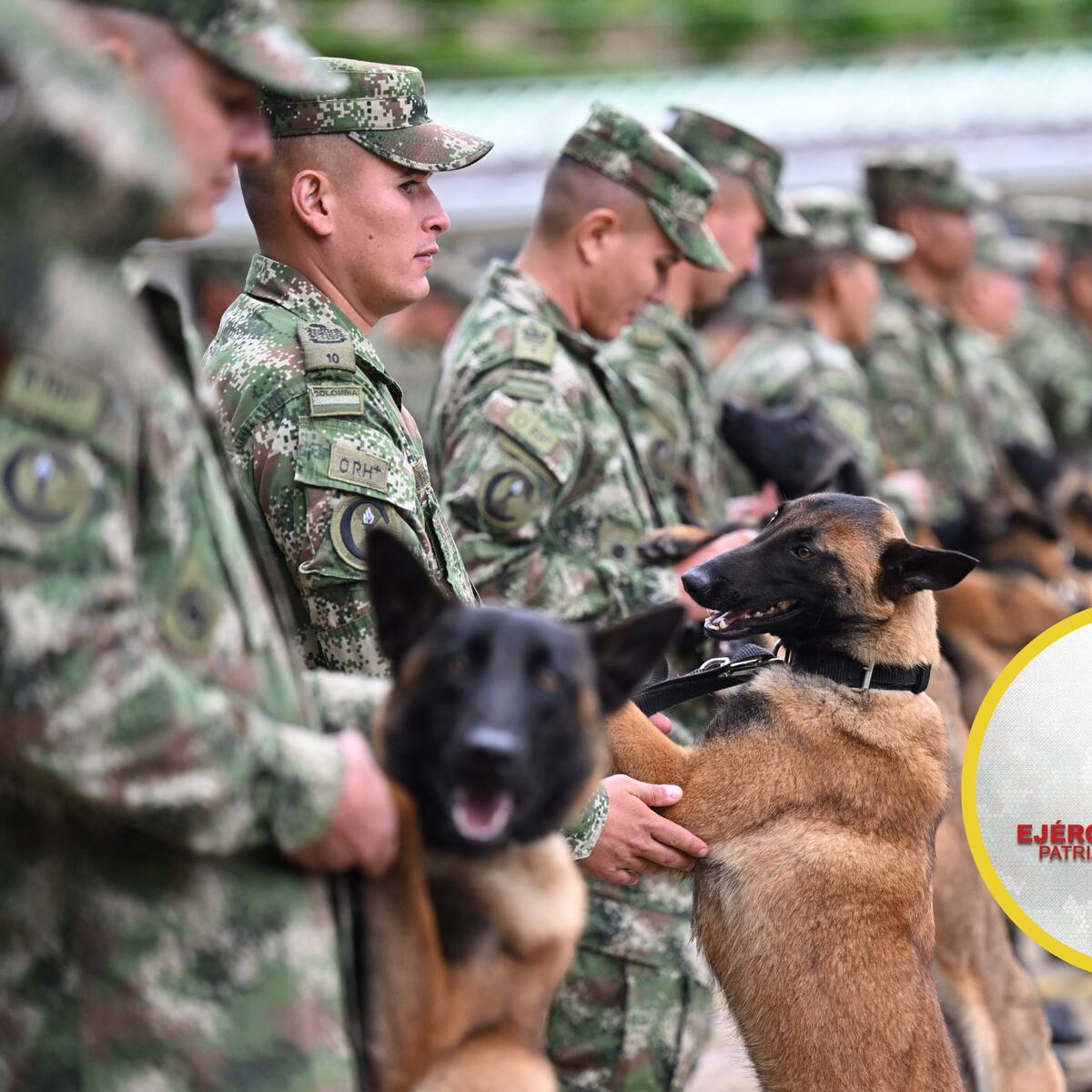 ¿Cuáles son las escuelas del Ejército para ser suboficial y oficial? Ubicación y más