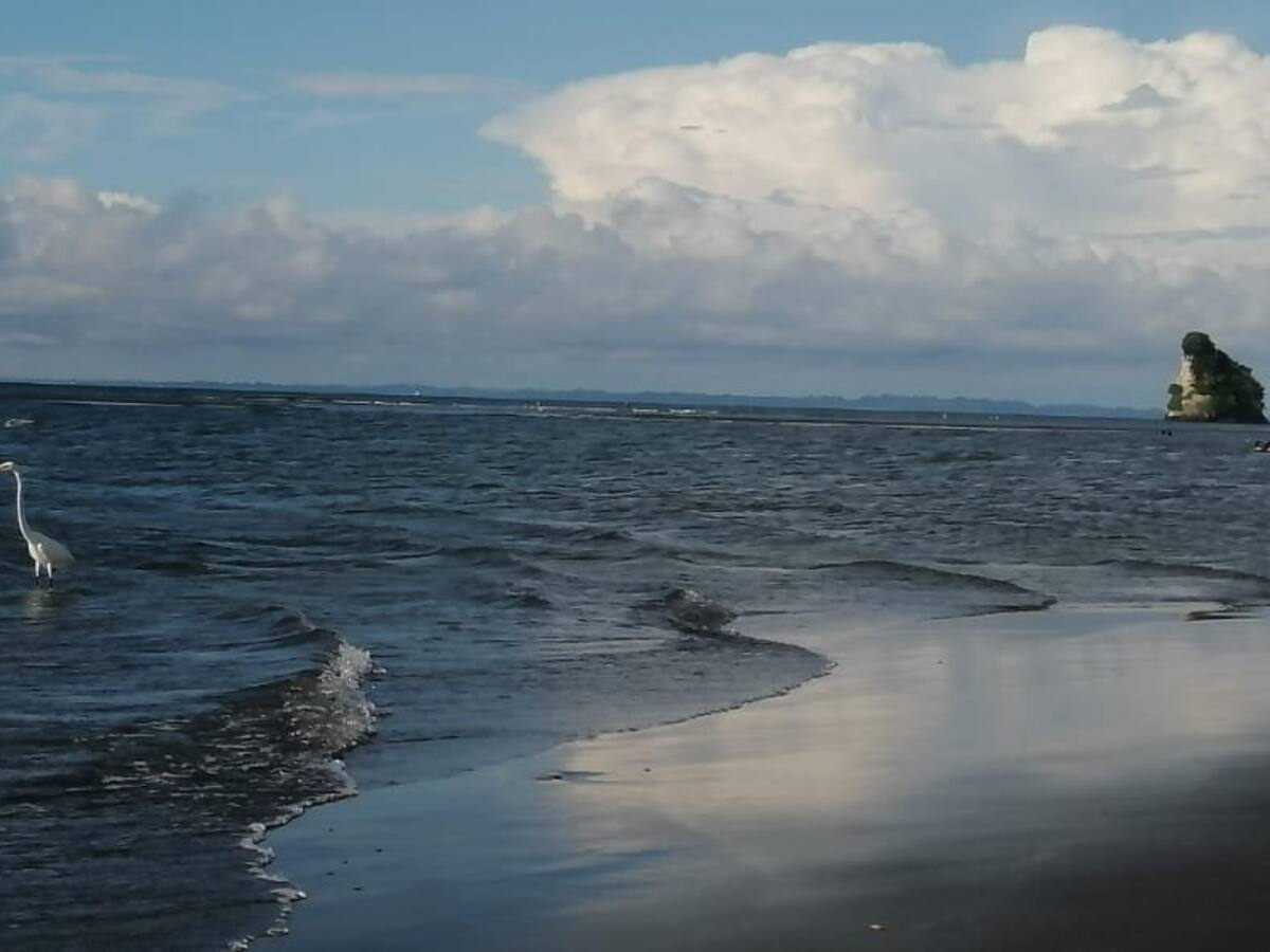 Radicados los estudios de impacto ambiental para ampliación del puerto de Tumaco