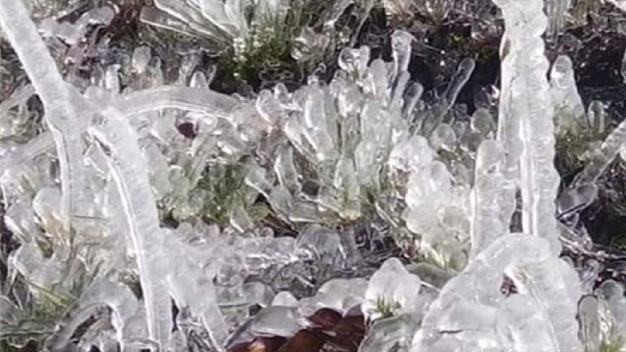 Heladas en Tona. Foto: SUMINISTRADA.