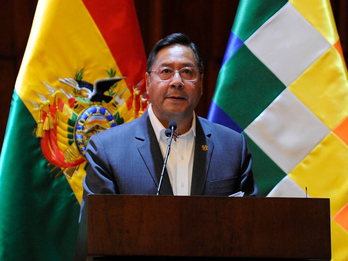 Bolivia afirma que en Colombia y Perú han aumentado cultivos de hoja de coca