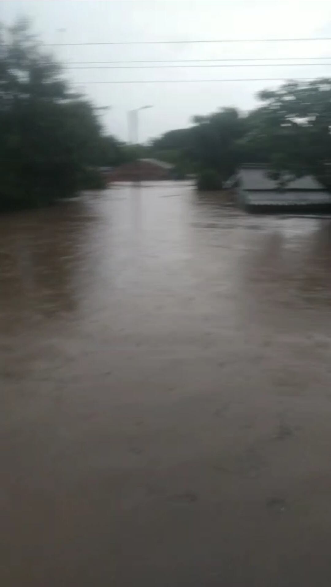Inundaciones en Apure/  Jose Carlos Saumet