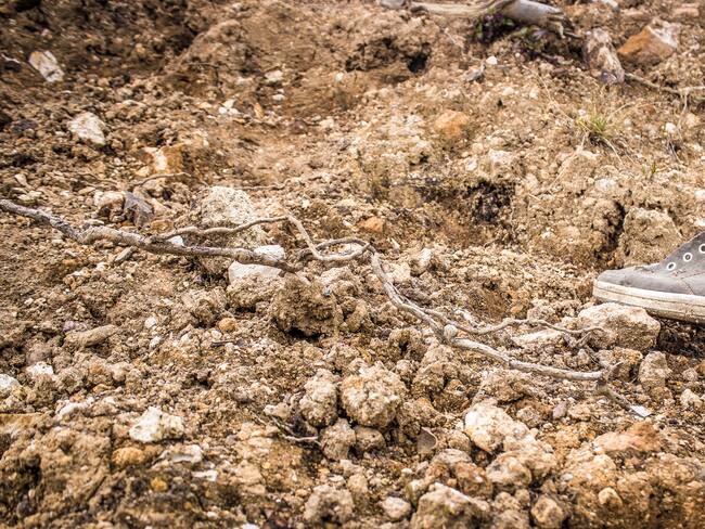 Imagen de referencia de desaparecidos.