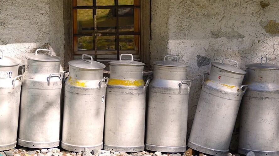 Gobierno tiene listo el plan con el que ayudará a reactivar el sector lechero del país. Foto: Pixabay