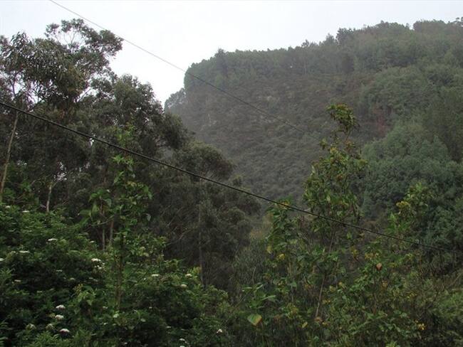 Nueva sanción en Cerros Orientales de Bogotá por captación ilegal en la quebrada Rosales/ Imagen de referencia. Foto: Colprensa