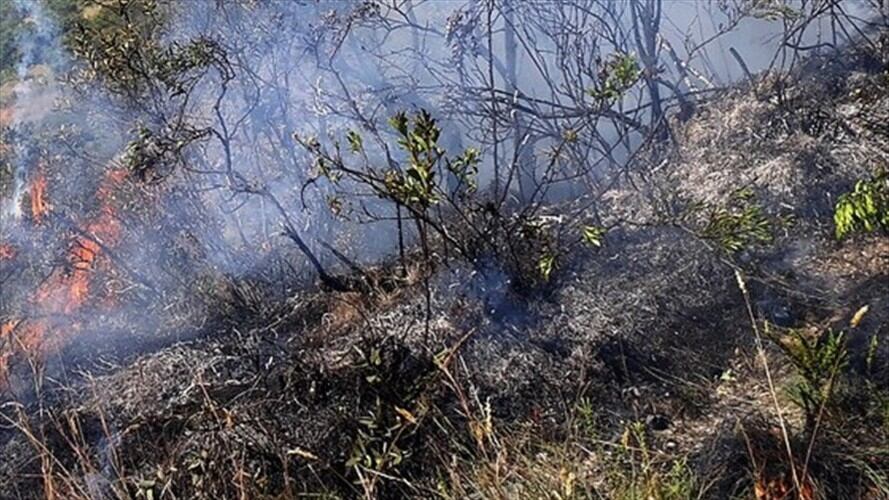 El pasado 21 de agosto se reportaron incendios en Saboyá y San Miguel de Sema. Foto: Colprensa
