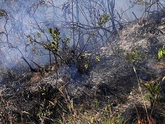 El pasado 21 de agosto se reportaron incendios en Saboyá y San Miguel de Sema. Foto: Colprensa