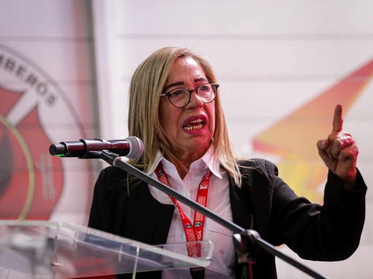 Emiten decreto que declara la insubsistencia de la directora de Bomberos, capitana Lourdes Peña