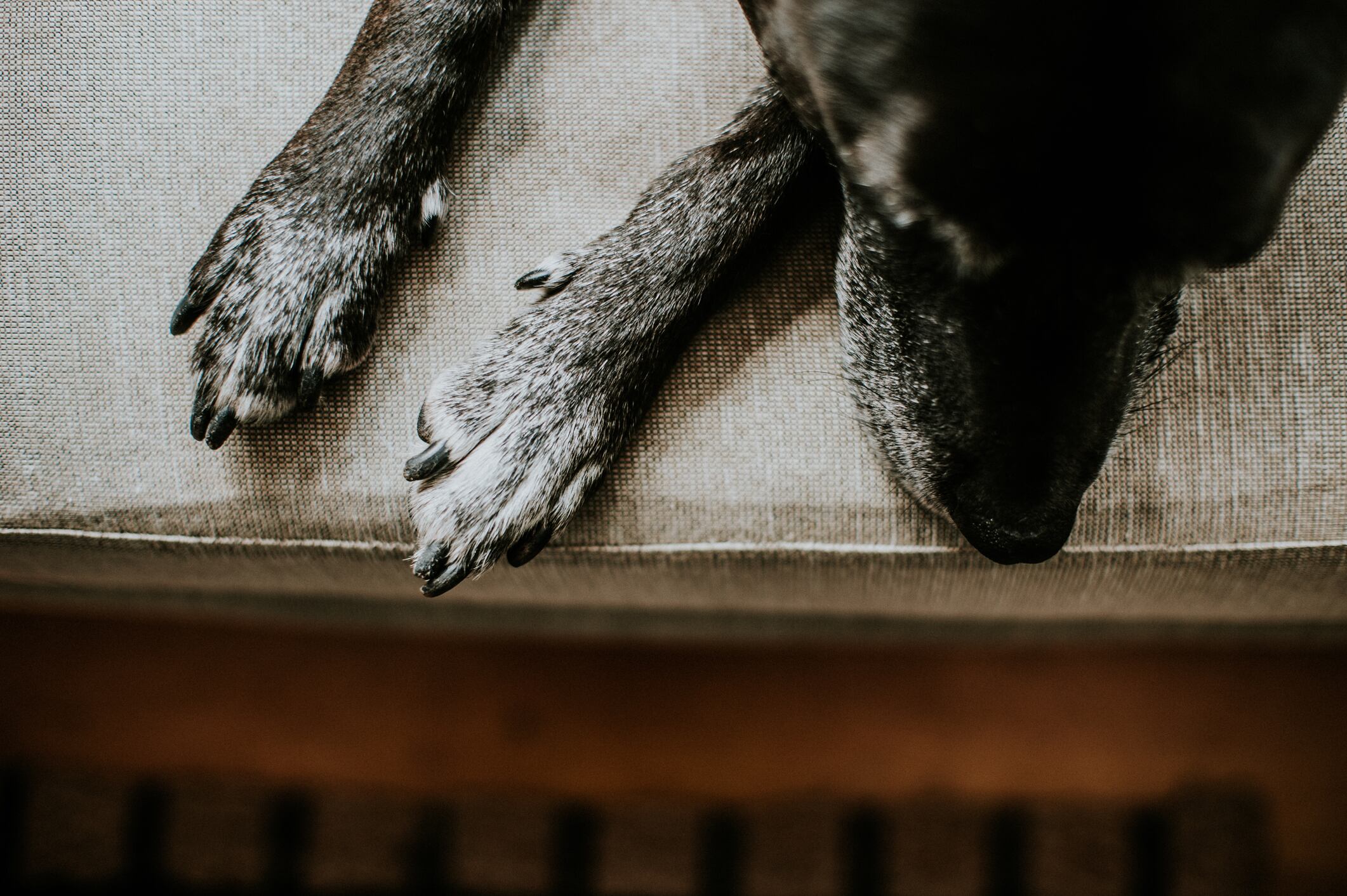 Imagen de referencia. Foto: GettyImages