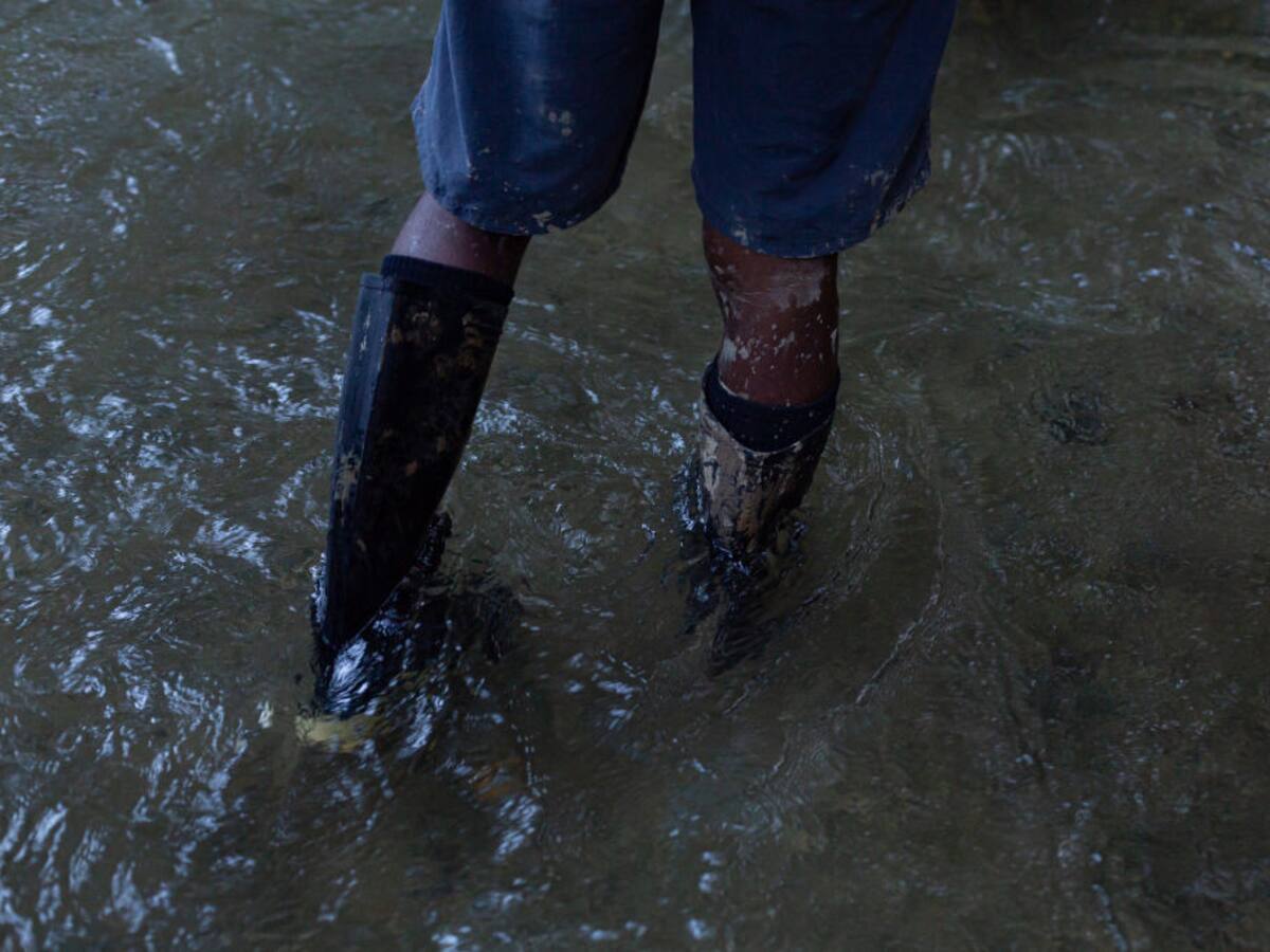 Más de 243.000 migrantes irregulares cruzaron la selva del Darién en 2022