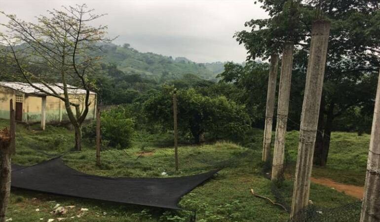 Caño Negro está ubicado entre Zambrano y El Carmen de Bolívar.. Foto: Archivo