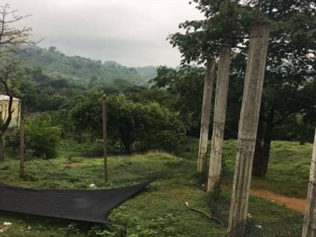 Caño Negro está ubicado entre Zambrano y El Carmen de Bolívar.. Foto: Archivo