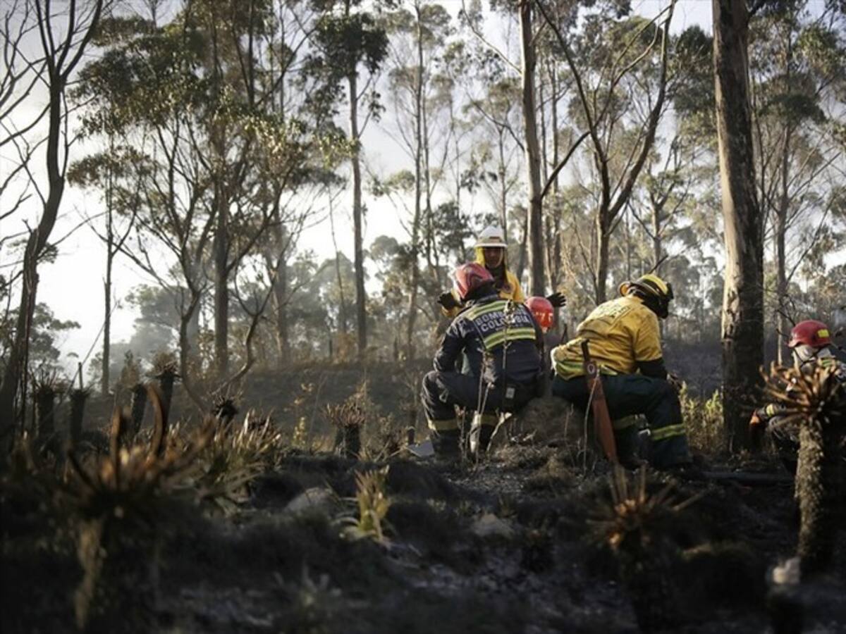 Son 11 los municipios que registran incendios forestales en Boyacá