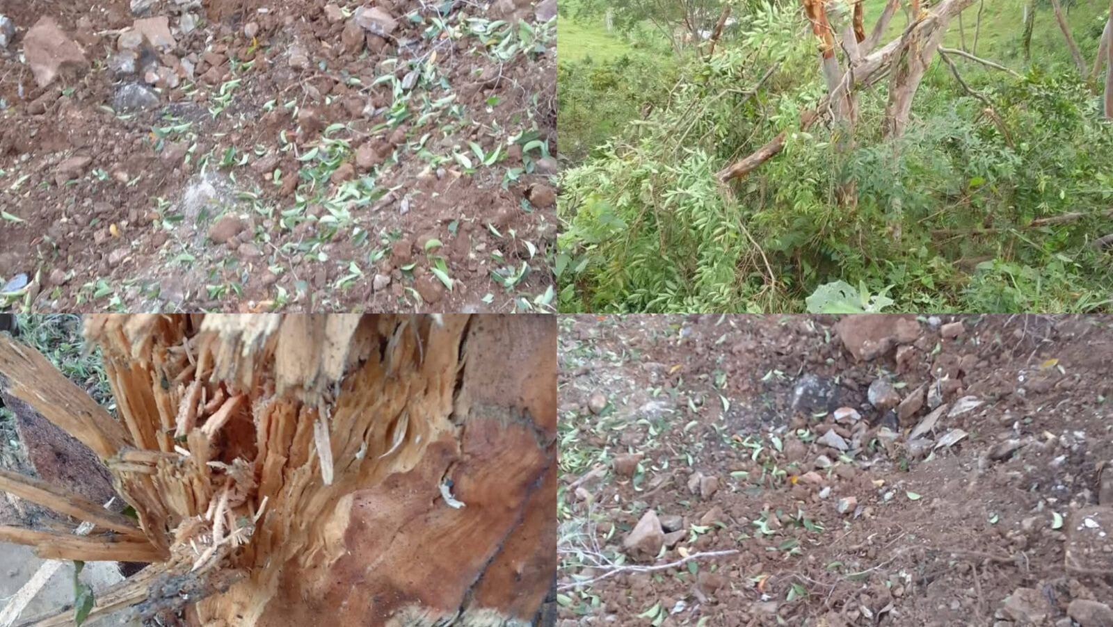 Explosivos en la vereda El Valle, Hacarí. / Foto: Cortesía comunidad. 