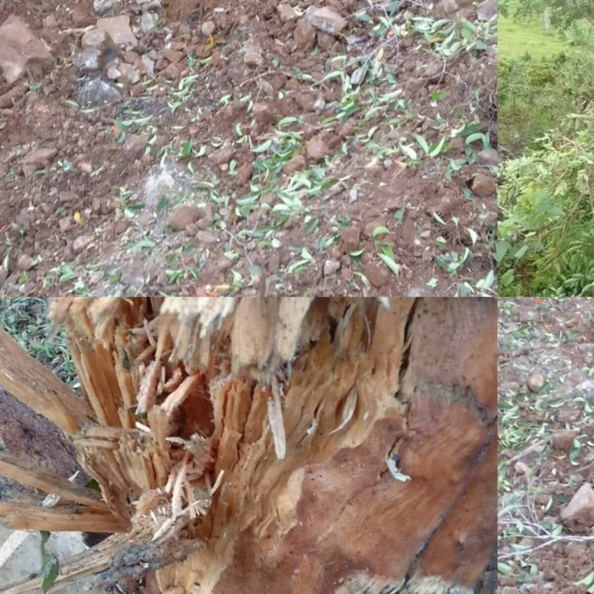 Comunidad de zona rural de Hacarí reportó afectaciones en sus cultivos por explosiones