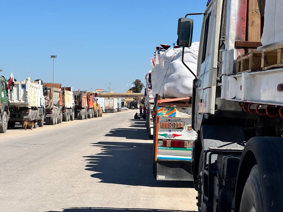 Ministros de exteriores reclamaron a Israel la reanudación total e inmediata de ayuda a Gaza