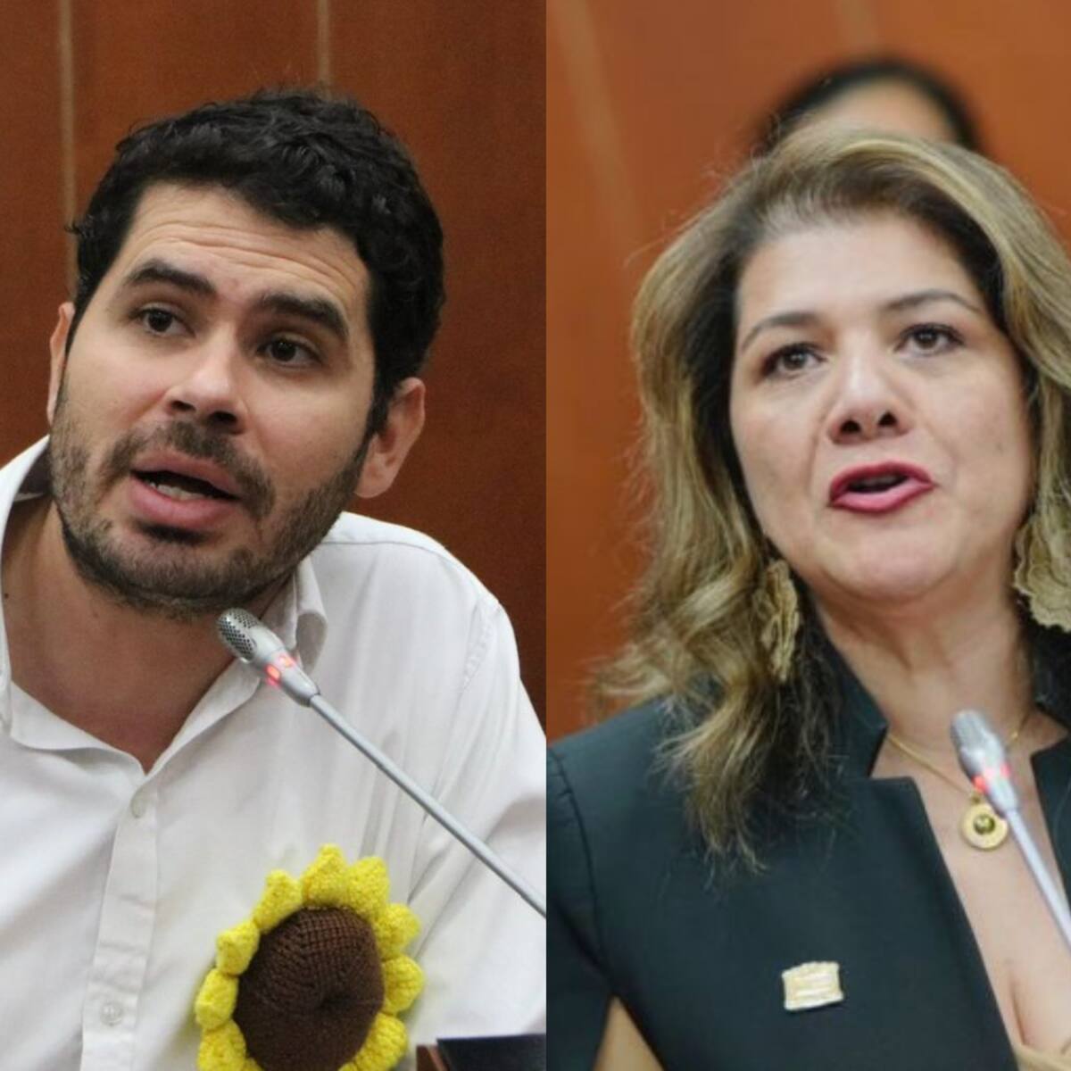 Debate: ¿Ponencia alternativa de reforma a la salud es un “retroceso”, como dice el MinSalud?