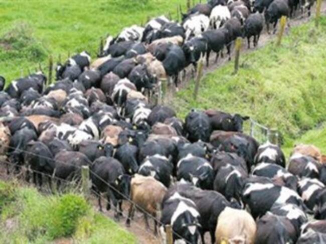 Foto: Archivo El Tiempo.