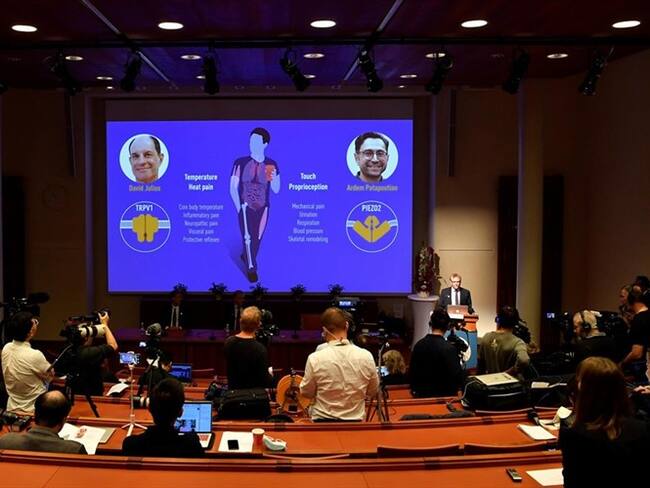 David Julius y Ardem Patapoutian ganan el premio Nobel de Medicina 2021