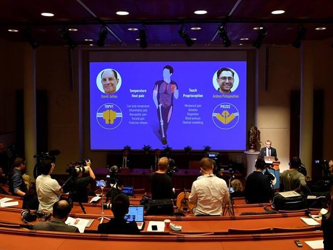 David Julius y Ardem Patapoutian ganan el premio Nobel de Medicina 2021