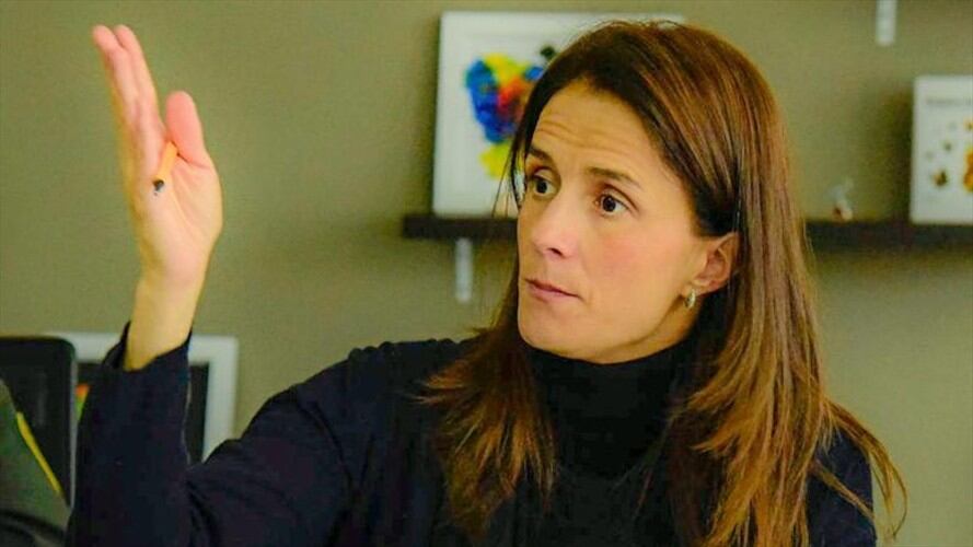 Juliana Pungiluppi, directora general del Icbf, reveló que el instituto abre, en promedio, 37 PARD a diario en todo el país por violencia sexual contra niños, niñas y adolescentes. Foto: ICBF