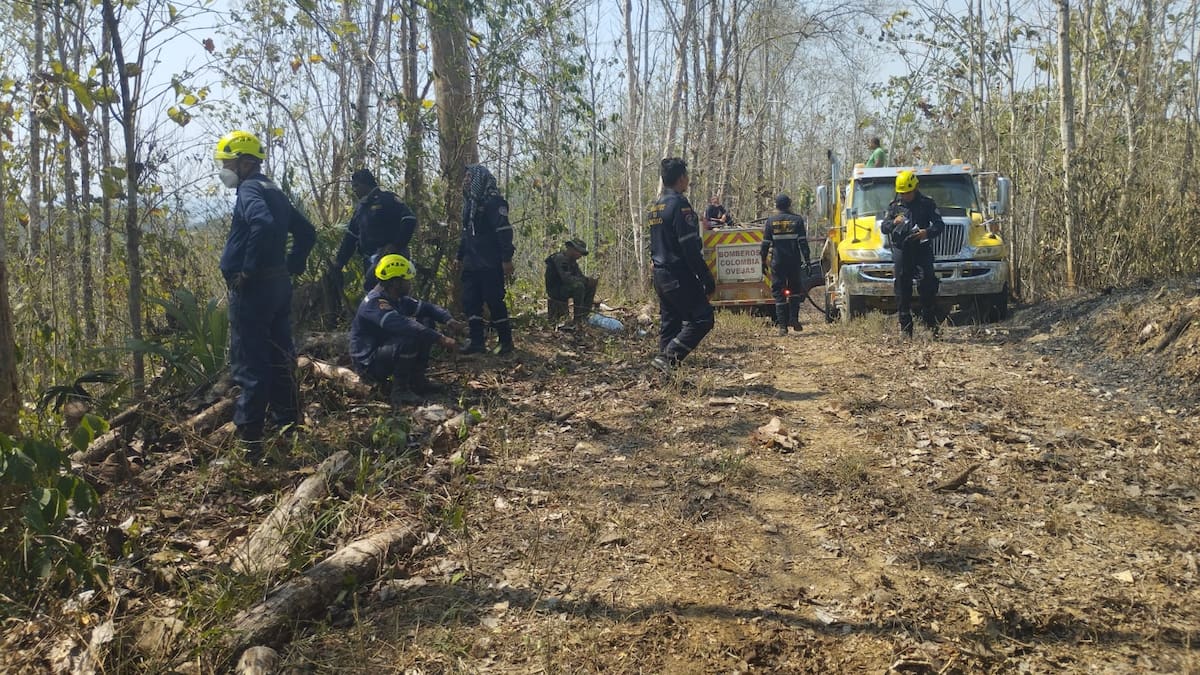 Incendio habría sido controlado en su totalidad en San Onofre, Sucre