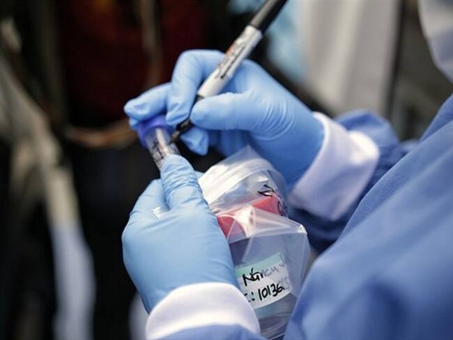 Imagen de referencia. Foto: Colprensa