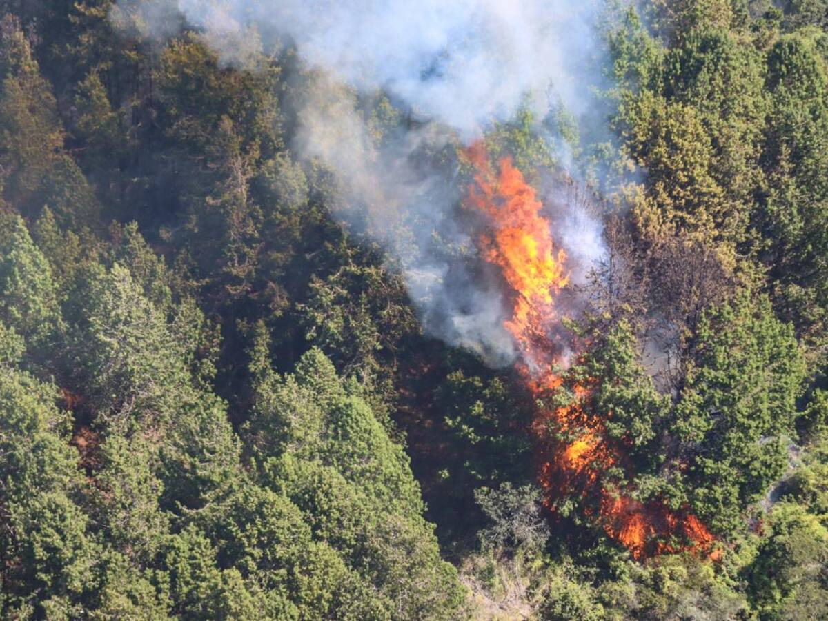 Mala calidad del aire en Bogotá por incendios: recomendaciones para cuidar su salud