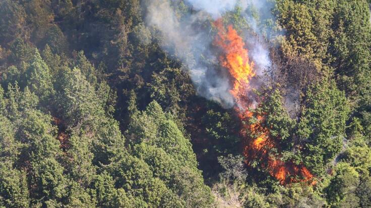 Mala calidad de aire en Bogotá por incendios: recomendaciones para cuidar su salud