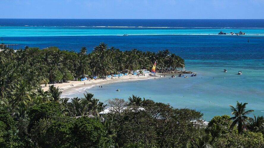 Minambiente busca conocer los efectos de Iota en manglar de San Andrés. Foto: Colprensa