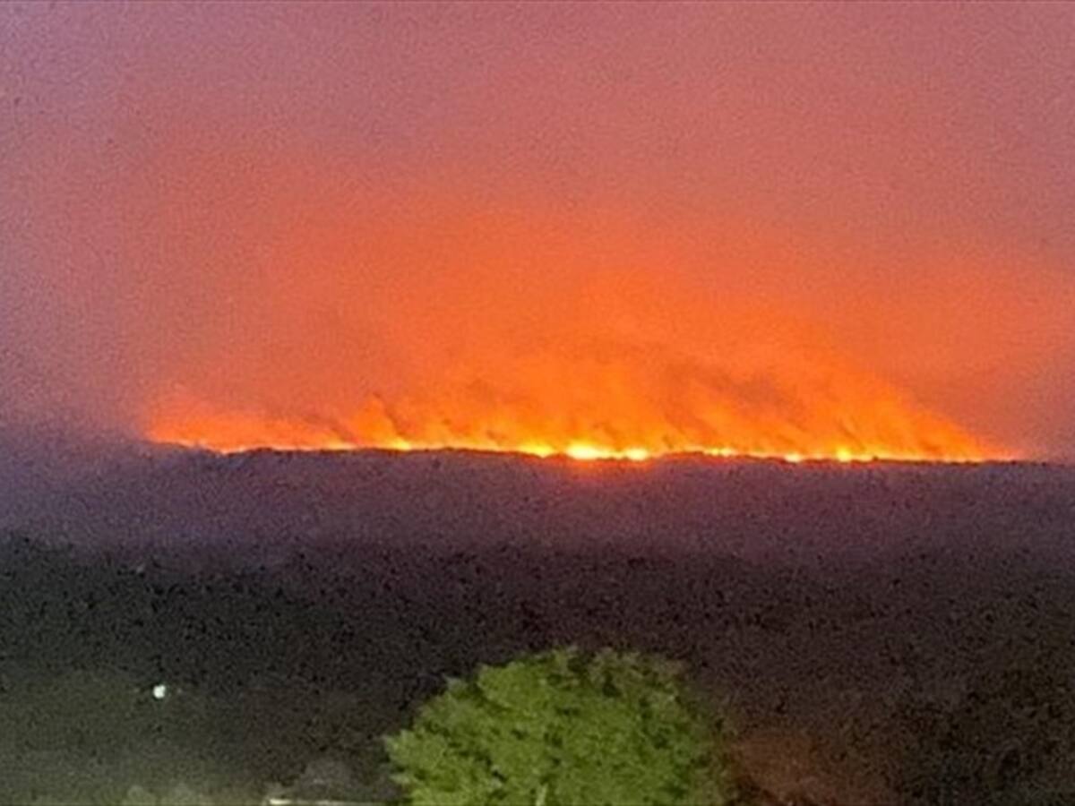 Incendio en Caño Cristales es un atentado contra la humanidad: Defensoría