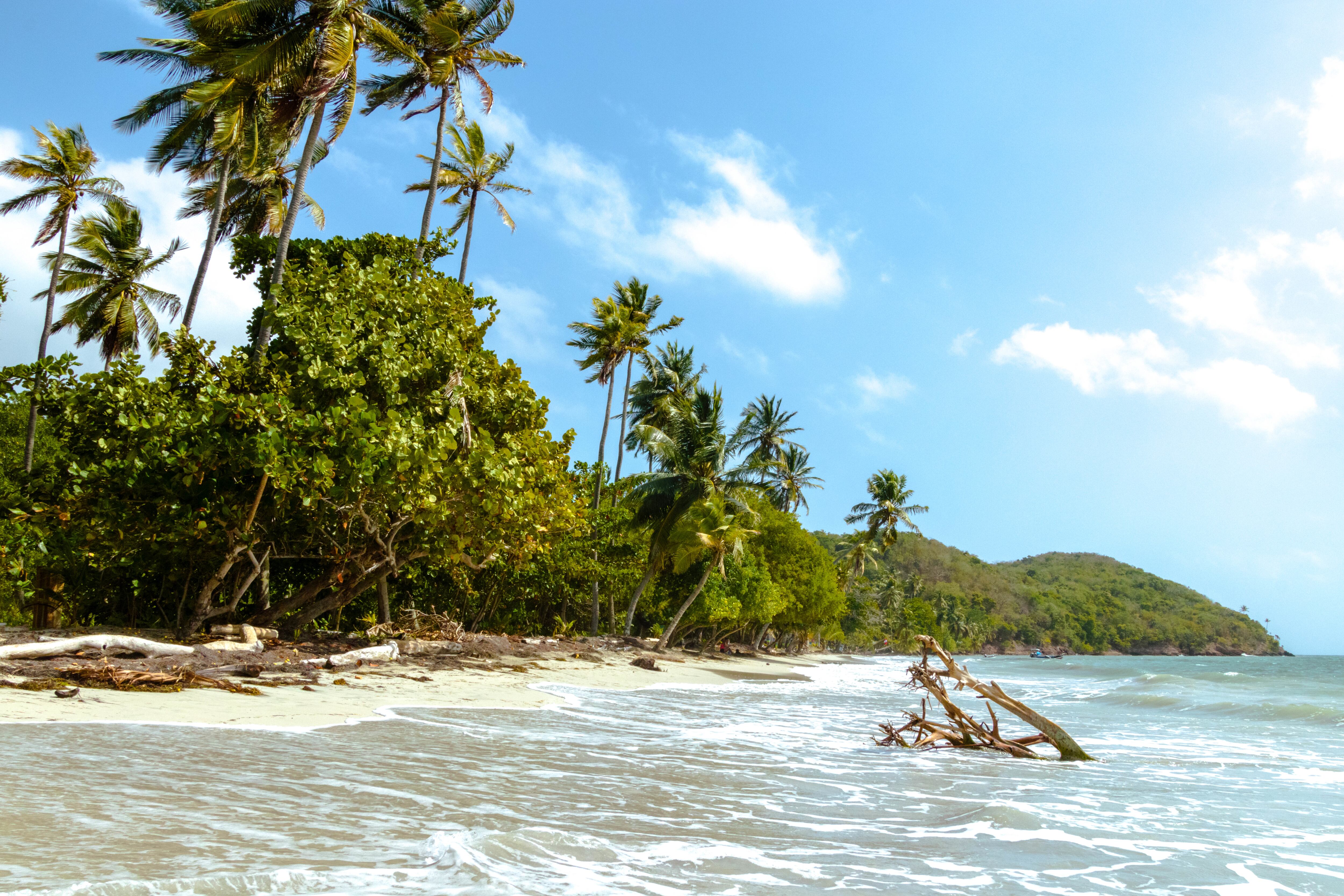 Isla colombiana de referencia. Foto: Ulrrich Hollmann vía Getty Images.