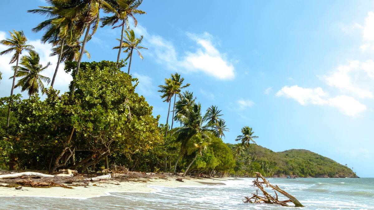 ¿Dónde queda Isla Fuerte? Cómo llegar y actividades para hacer en esta joya del Caribe colombiano