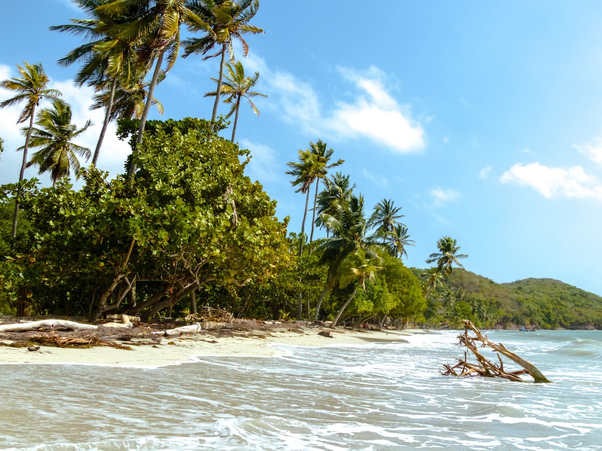 ¿Dónde queda Isla Fuerte? Cómo llegar y actividades para hacer en esta joya del Caribe colombiano
